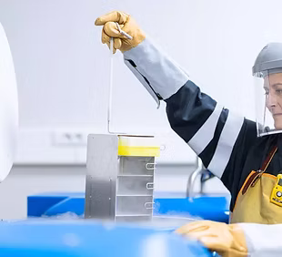 Formation Risque azote